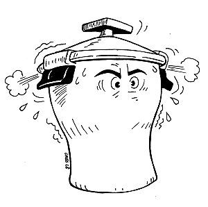 cocotte minute